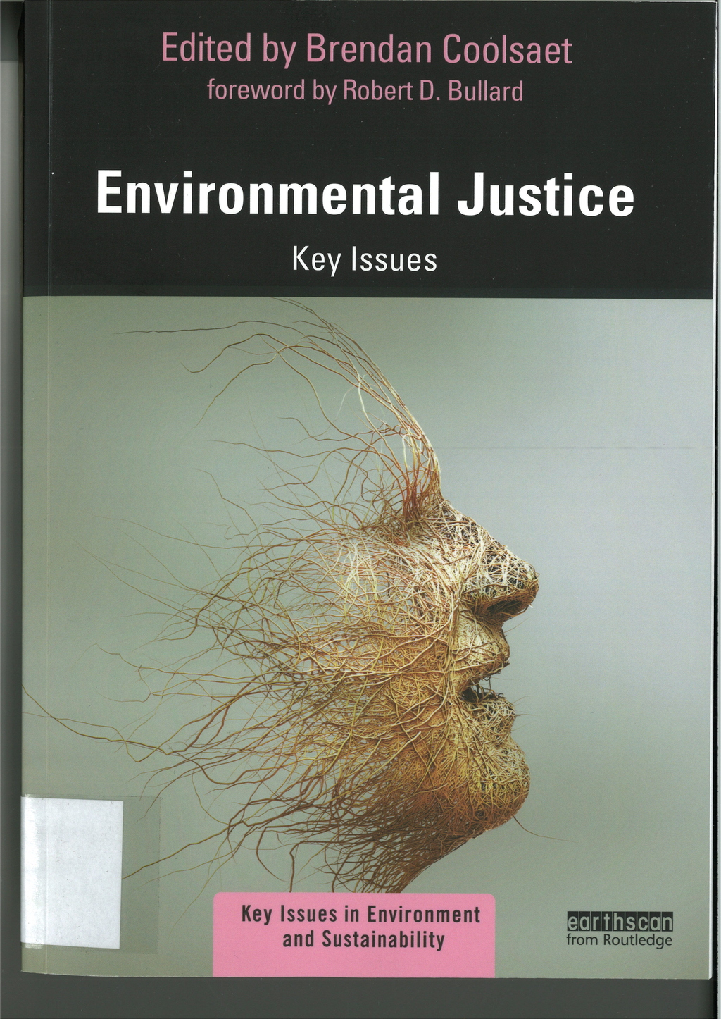 Titelbild des Buches Environmental justice : key issues
