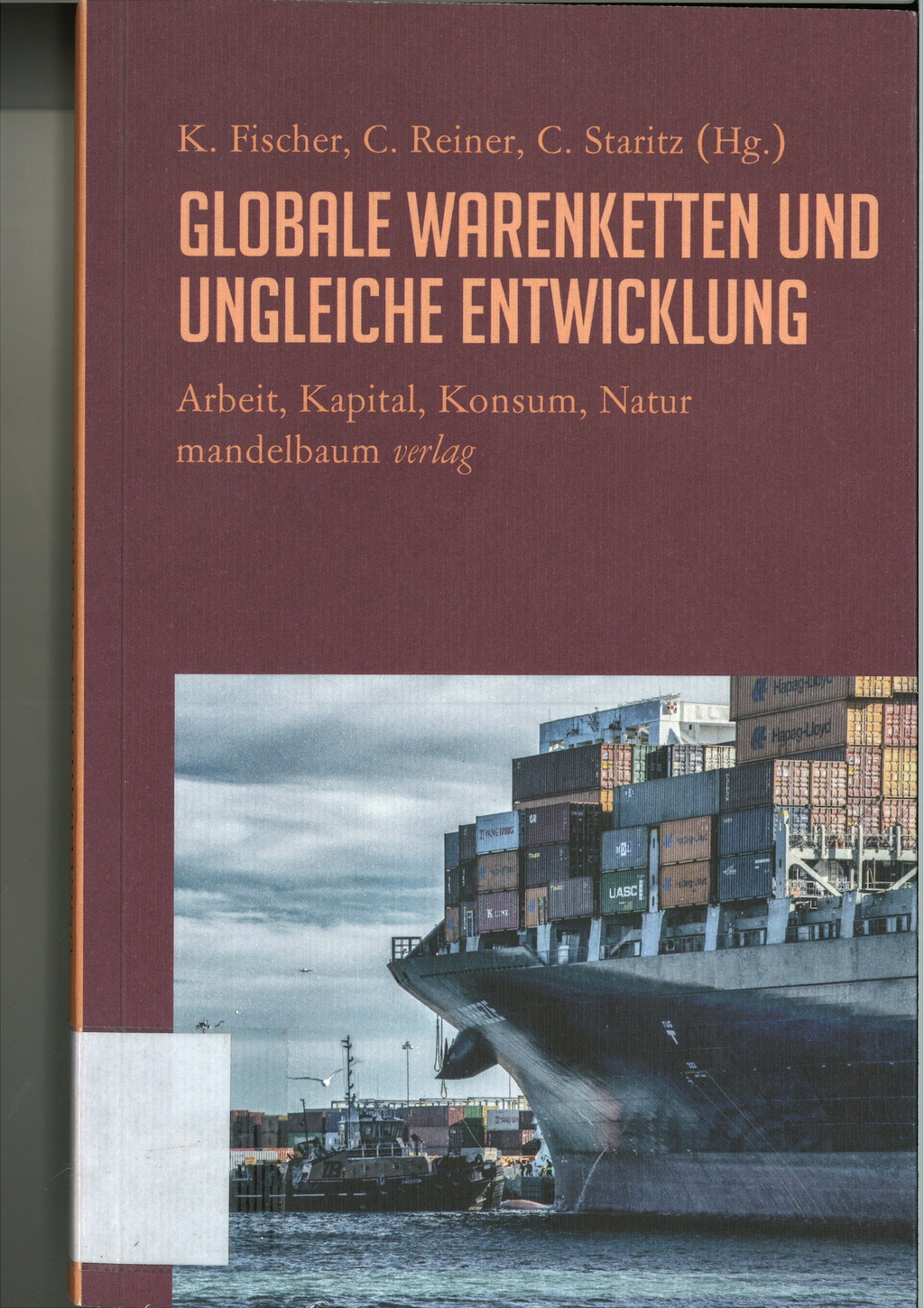 Titelbild des Buches Globale Warenketten und ungleiche Entwicklung: Arbeit, Kapital, Konsum, Natur